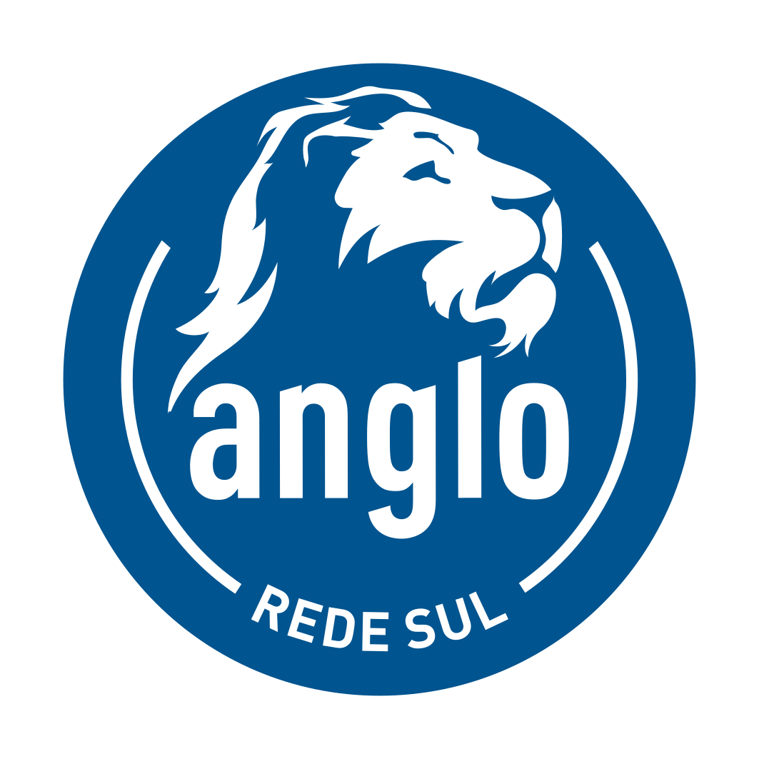 Anglo Rede Sul